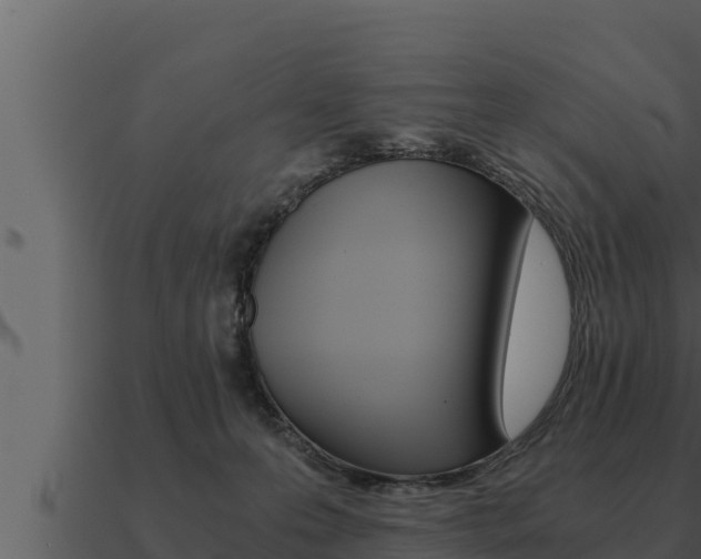 X0000091100223200708061029