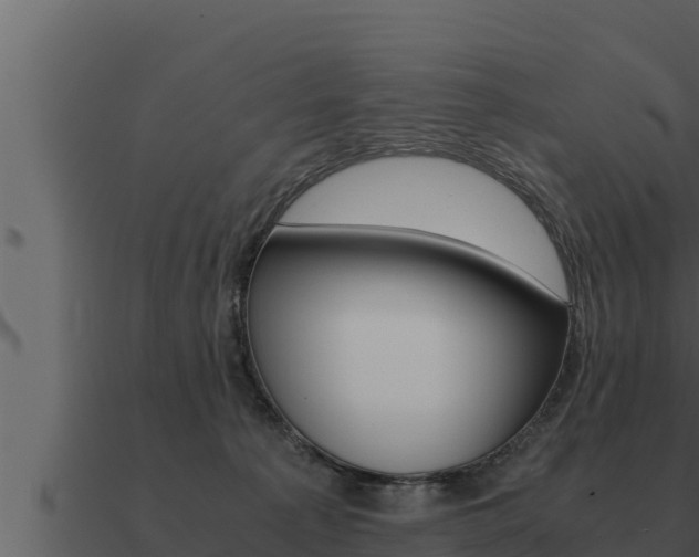 X0000091100225200708061029