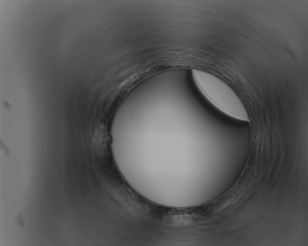 X0000091100228200708061029