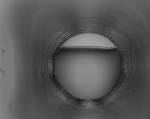 X0000091100231200708061029