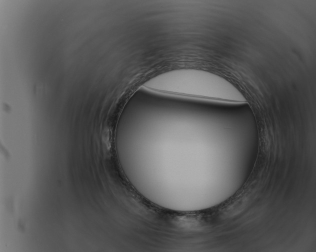 X0000091100232200708061029