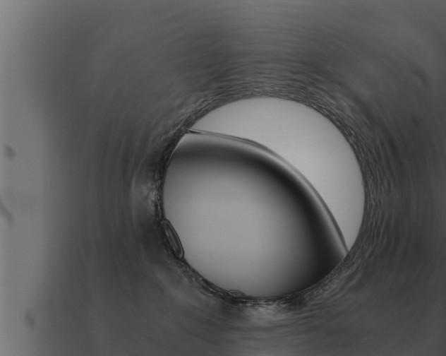 X0000091100235200708061029