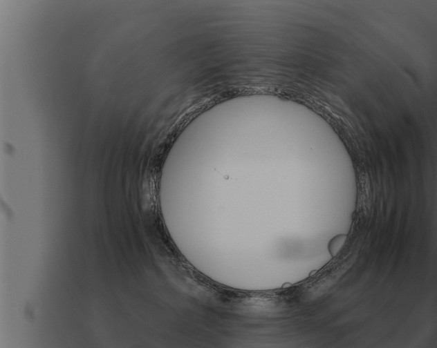 X0000091100236200708061029