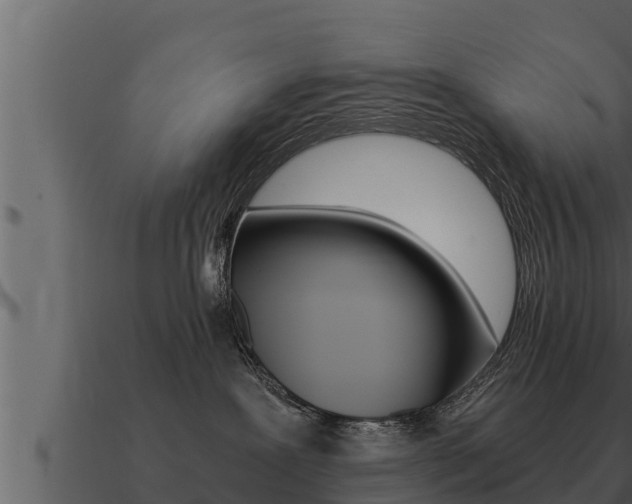 X0000091100239200708061029