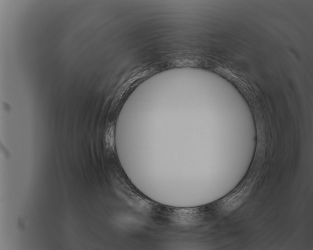 X0000091100240200708061029