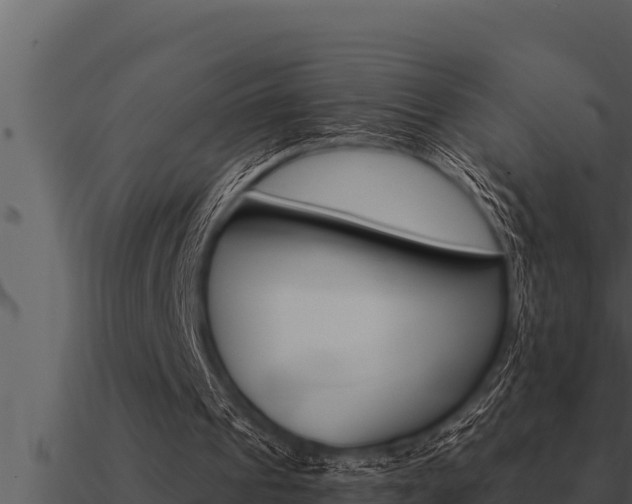 X0000091100241200708061028