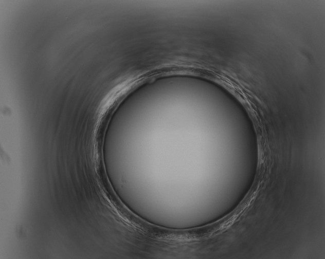 X0000091100245200708061029