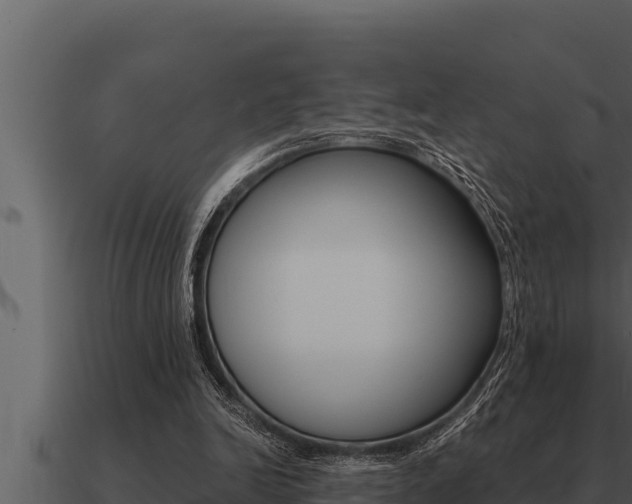 X0000091100246200708061029