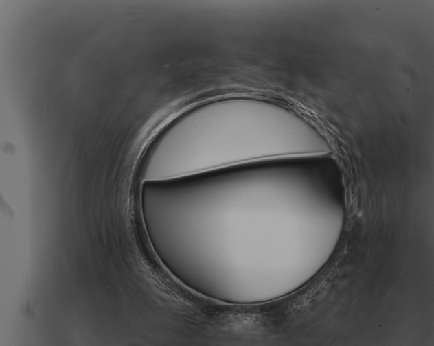 X0000091100247200708061029