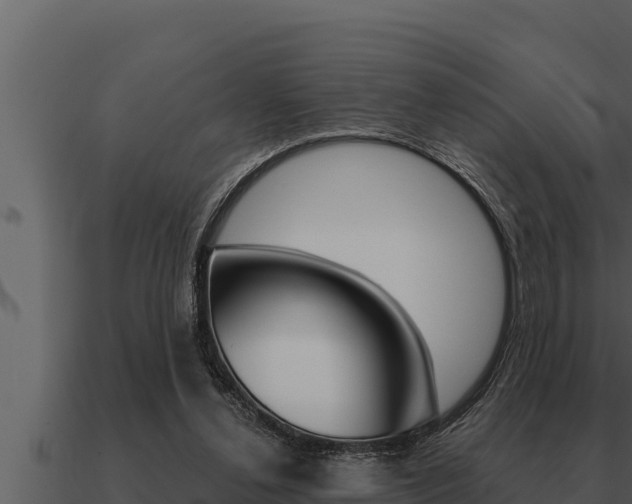 X0000091100252200708061029