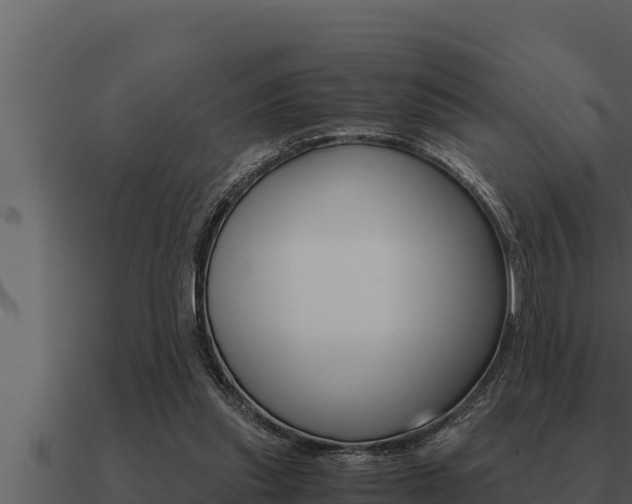 X0000091100253200708061029