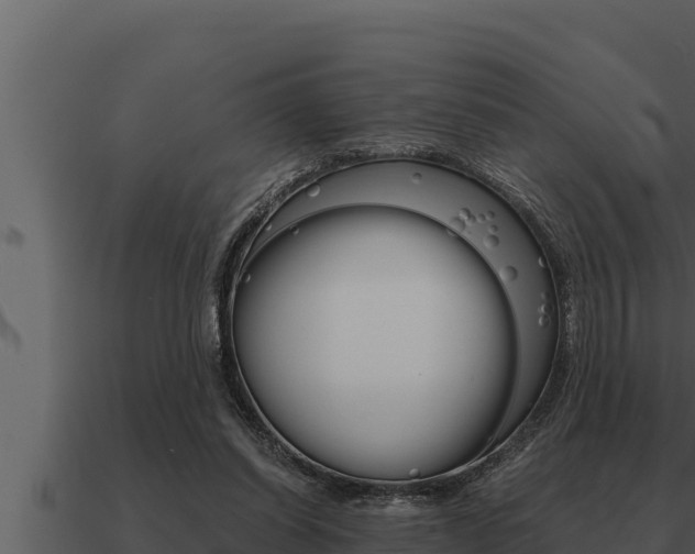 X0000091100254200708061029