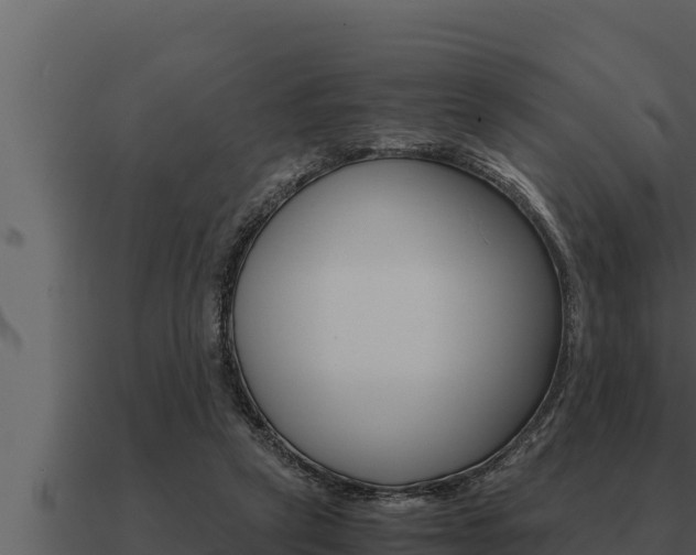 X0000091100257200708061029