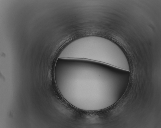 X0000091100258200708061029