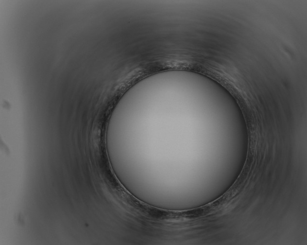 X0000091100263200708061029