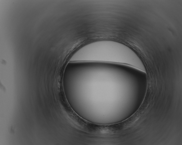 X0000091100264200708061029