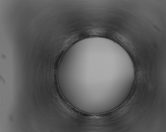 X0000091100265200708061029