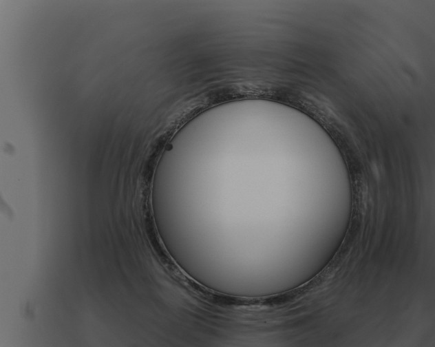 X0000091100266200708061029