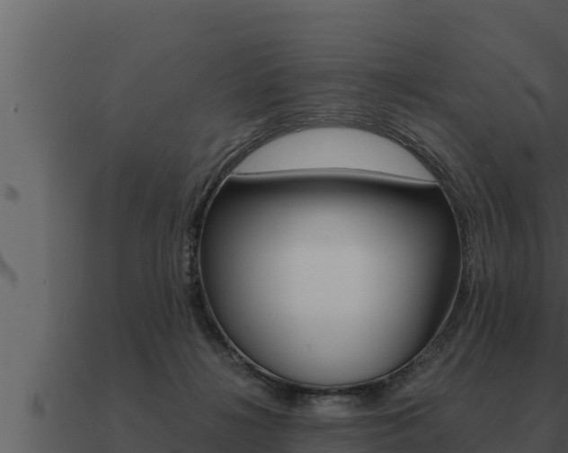 X0000091100268200708061029