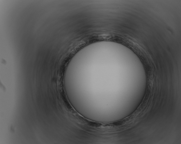 X0000091100270200708061029