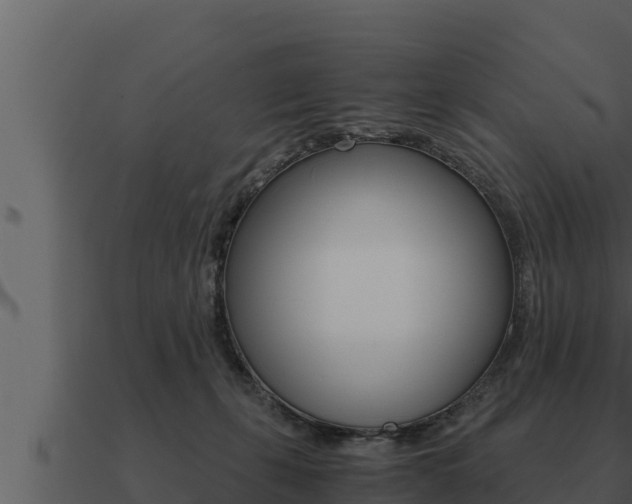 X0000091100271200708061029