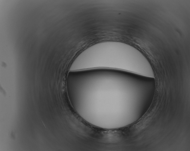 X0000091100273200708061029