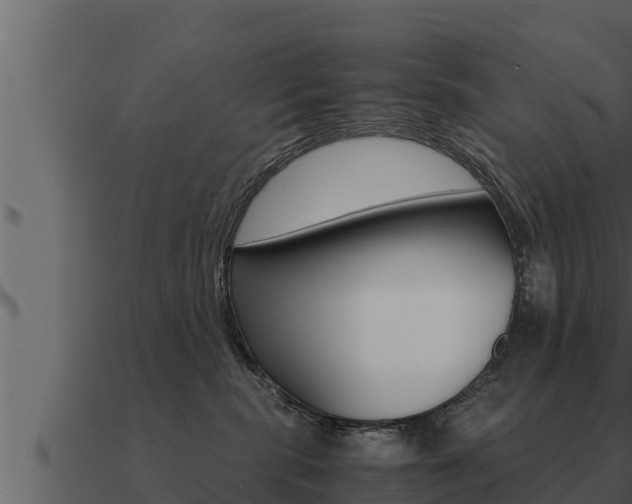 X0000091100283200708061029