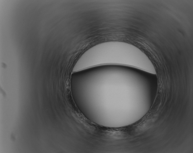 X0000091100284200708061029