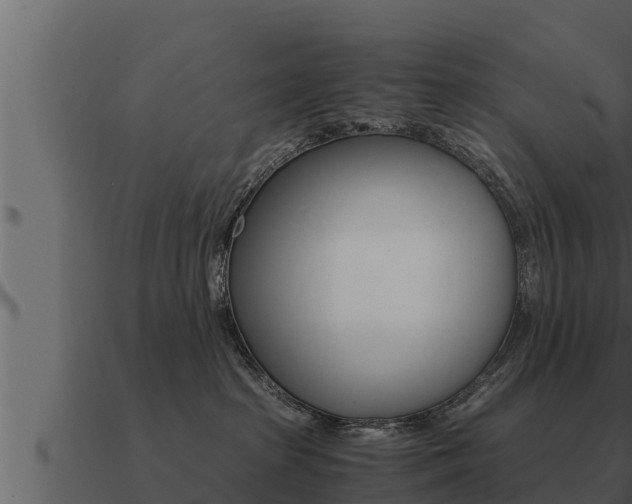 X0000091100285200708061029