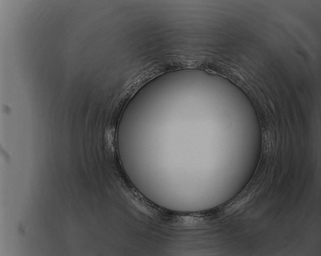 X0000091100286200708061029