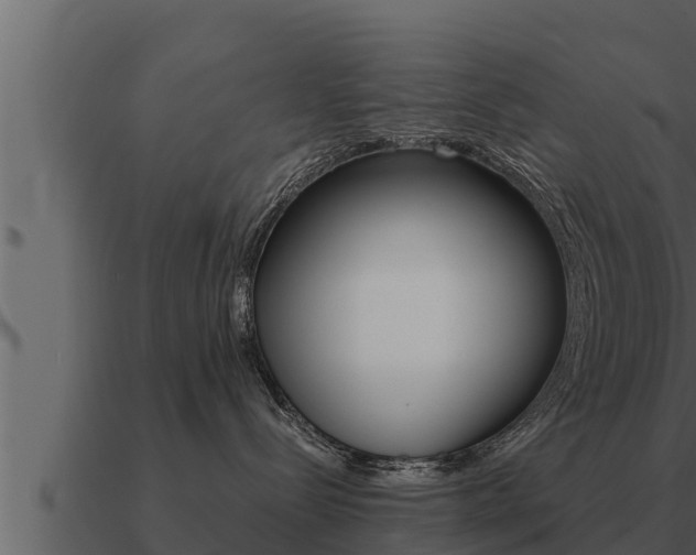 X0000091100288200708061029