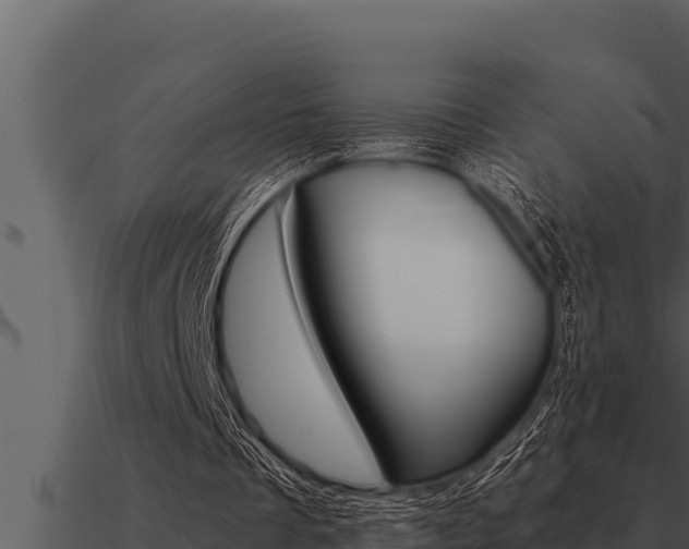 X0000091100289200708061028