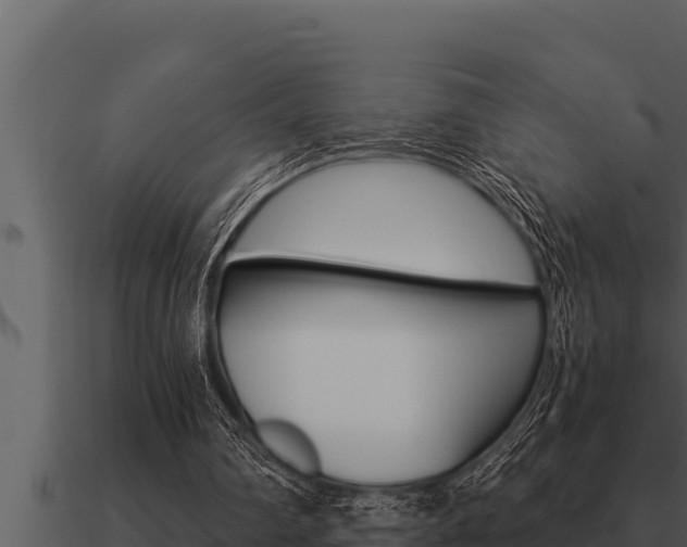 X0000091100290200708061028