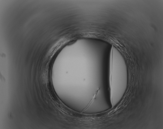 X0000091100291200708061028