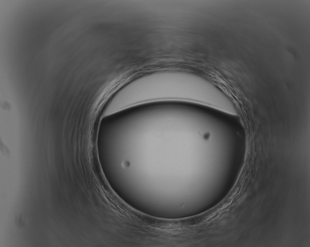 X0000091100293200708061028