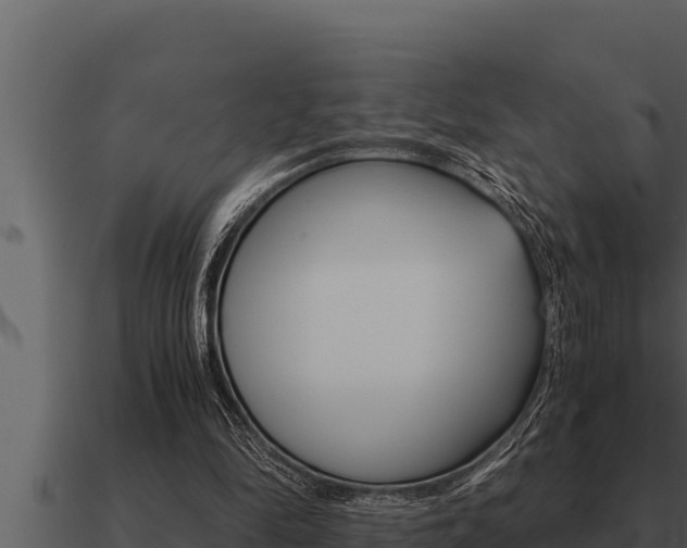 X0000091100294200708061028