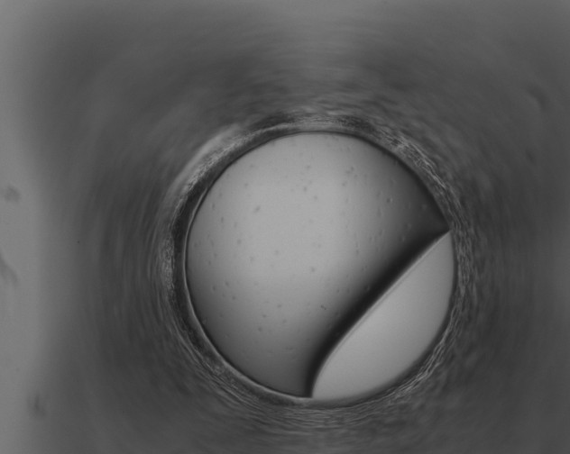 X0000091100295200708061028