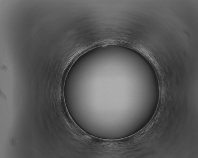 X0000091100297200708061028