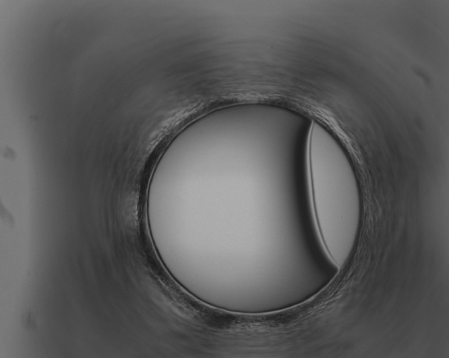 X0000091100299200708061028