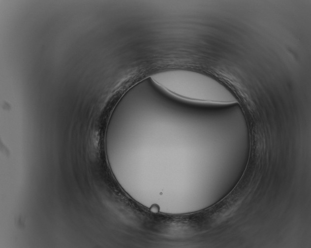 X0000091100308200708061028