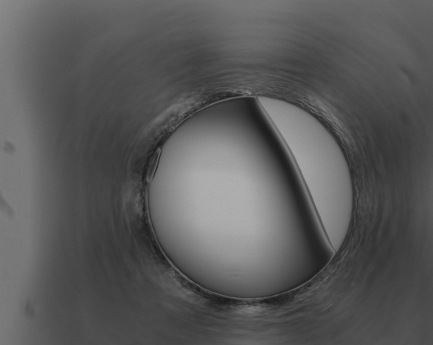 X0000091100313200708061028