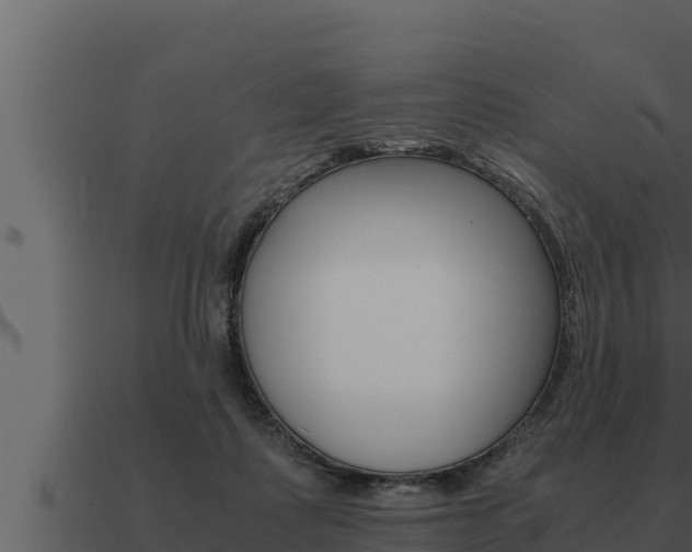 X0000091100315200708061028