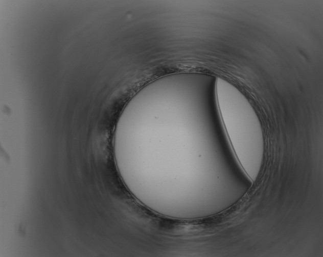 X0000091100319200708061028