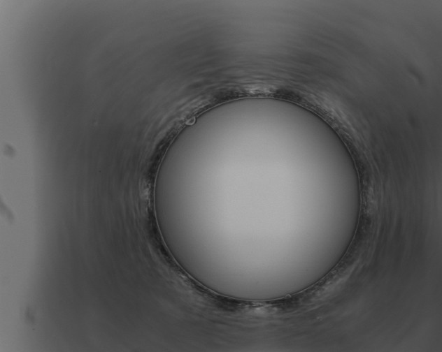 X0000091100321200708061028