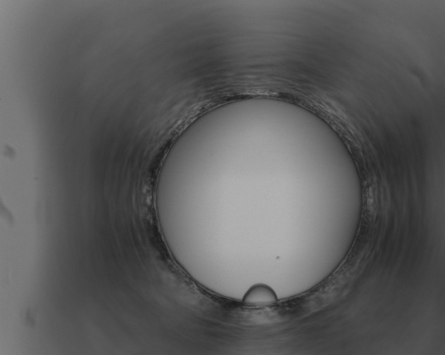 X0000091100322200708061028