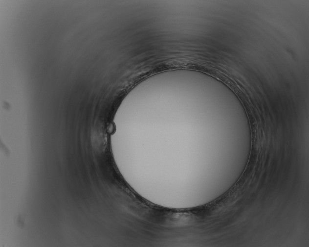 X0000091100324200708061028