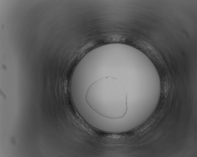 X0000091100326200708061028