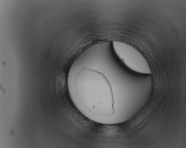 X0000091100328200708061028