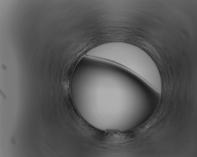 X0000091100329200708061028