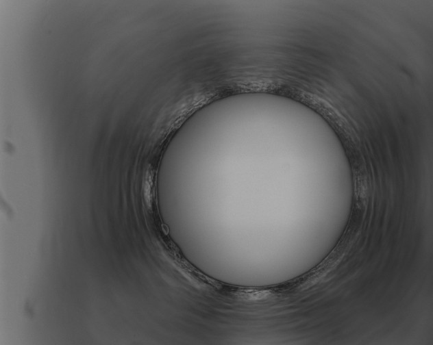 X0000091100334200708061028